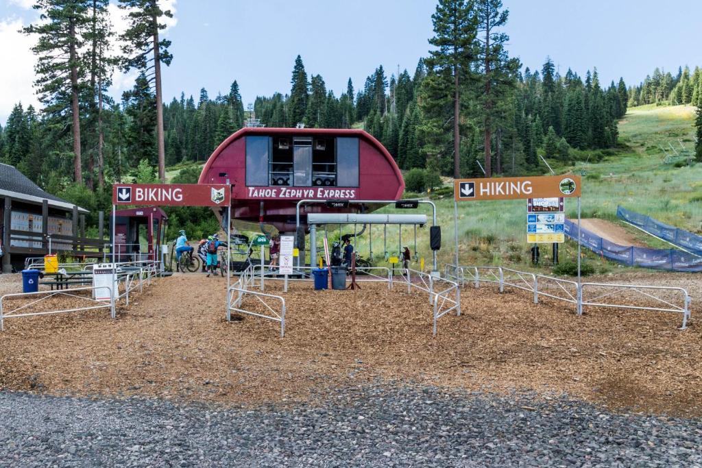 Truckee Boulders Escape - image 5