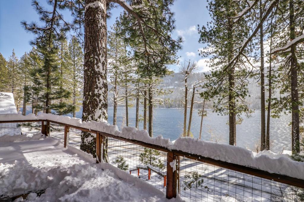 Donner Lake Dream Cabin - image 5