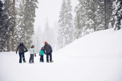 mid mountain Escape With Rtiz Amenities Condo truckee