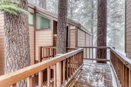 Northstar Condo in the Trees - image 1