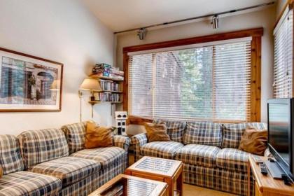 Ski-in and Ski-out Northstar Condo near Lake Tahoe! - image 16