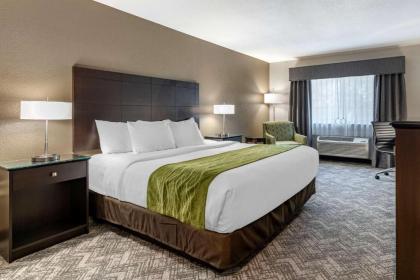 Comfort Inn & Suites Tualatin - Lake Oswego South - image 8