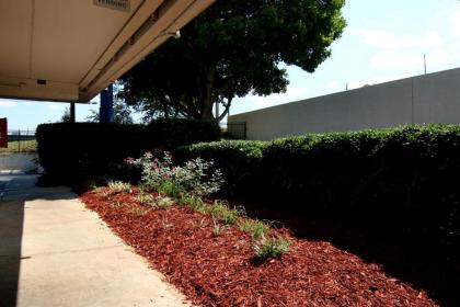 Motel 6-Tucker GA - Atlanta Northeast - image 3