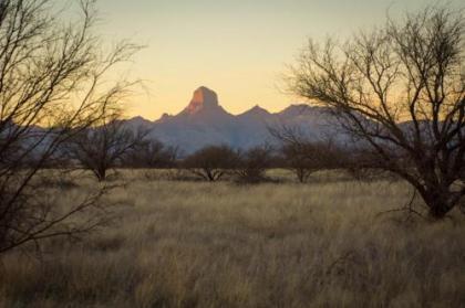 Rancho de la Osa Guest Ranch - image 3