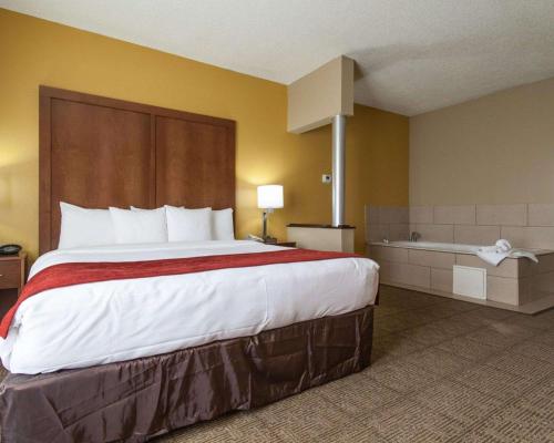 Comfort Suites Central / I-44 - image 2