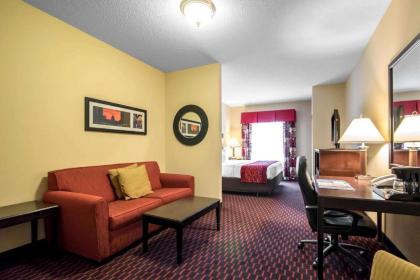 Comfort Inn & Suites - image 14