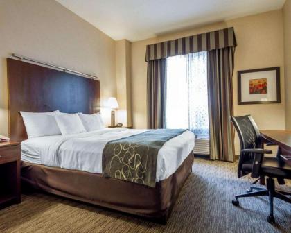 Comfort Suites Turlock - image 10