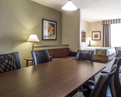 Comfort Suites Turlock - image 12