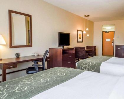 Comfort Suites Turlock - image 2