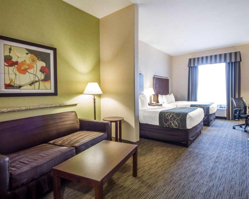 Comfort Suites Turlock - image 3