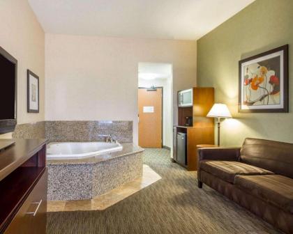 Comfort Suites Turlock - image 6