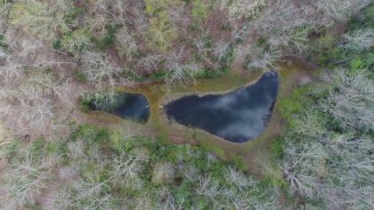 Bear Paw Ridge-Turtletown TN - image 13