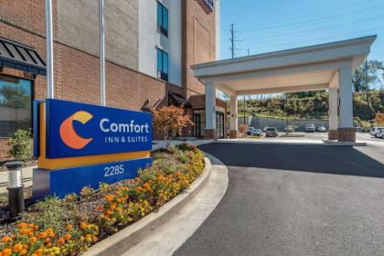 Comfort Inn & Suites Downtown near University - image 2