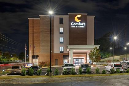 Comfort Inn & Suites Downtown near University - image 4