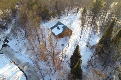 Custom Log Cabin with Deck and 45 Acres by Pine River! - image 9