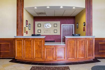 Comfort Suites Twinsburg - image 10