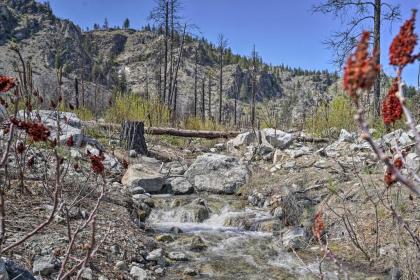 Historic Twisp Cottage - Mountain and River View! - image 14