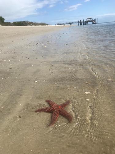 Hotel Tybee - image 3