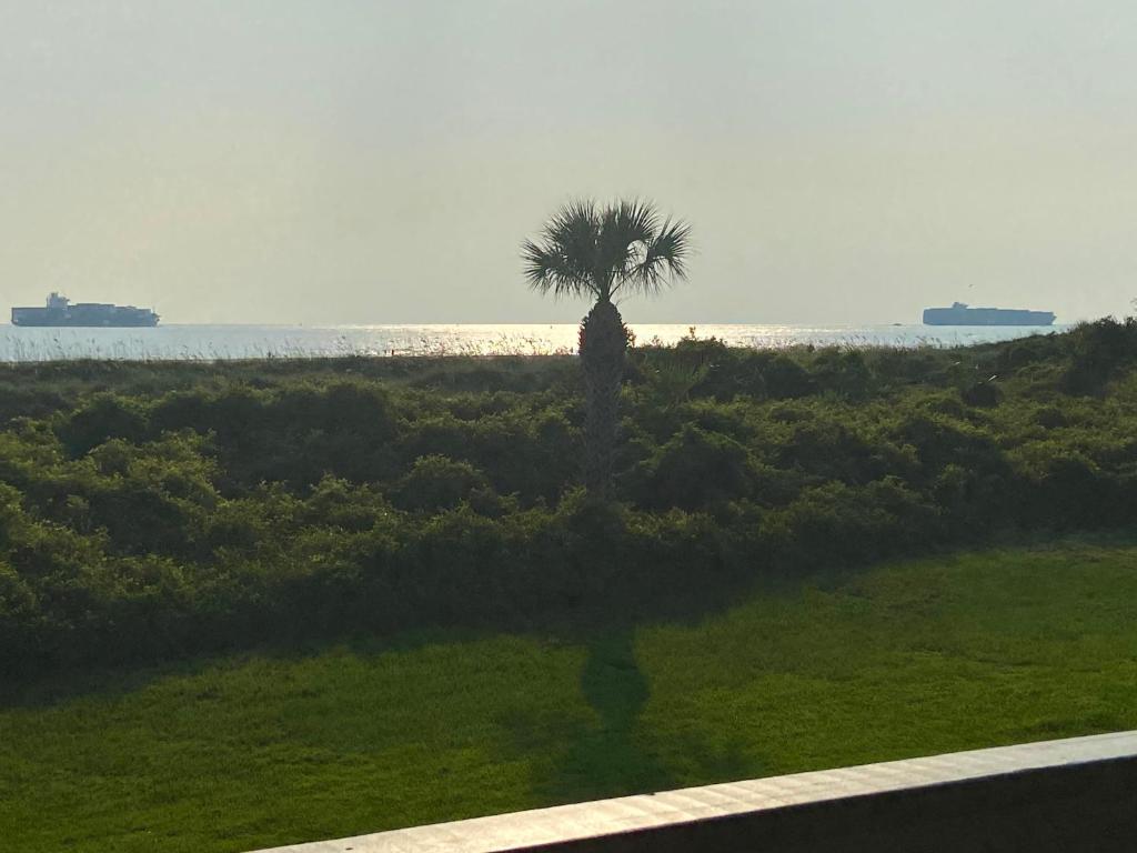 New Listing! Watch the ships go by from your private balcony overlooking the beach and ocean! - image 7