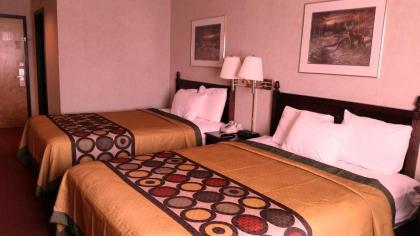 Americas Best Value Inn Ullin Mounds - image 4