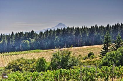 Luxury Home with Views - 5 Min to Columbia River - image 10