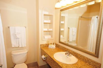 Holiday Inn Express Hotel & Suites Urbana-Champaign-U of I Area an IHG Hotel - image 2