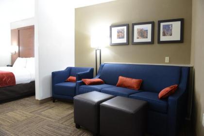 Comfort Suites Urbana Champaign University Area - image 6