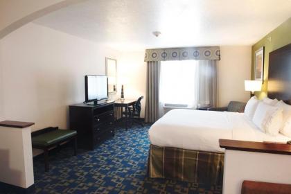 Holiday Inn Express and Suites Urbandale Des Moines an IHG Hotel - image 10