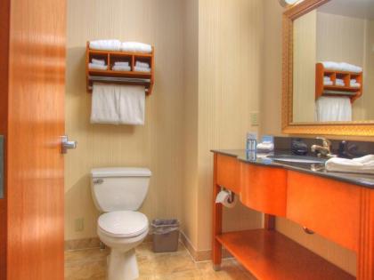 Hampton Inn Detroit - Shelby Township - image 15