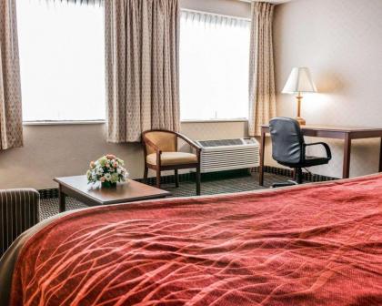 Comfort Inn Utica - image 10