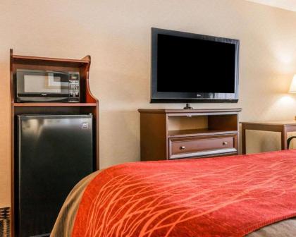 Comfort Inn Utica - image 3