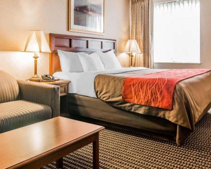 Comfort Inn Utica - image 9