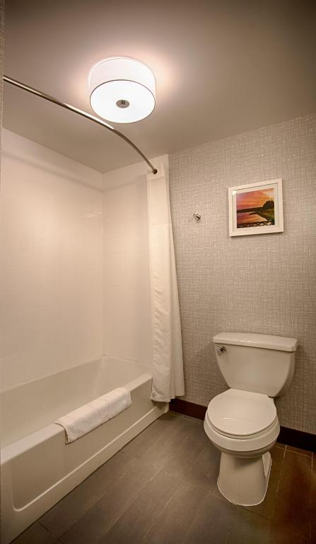 Hampton Inn Utica - image 4