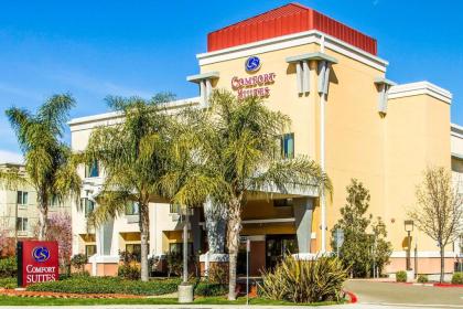 Comfort Suites Vacaville - image 2