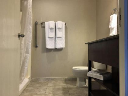 Best Western Plus Valdosta Hotel & Suites - image 11