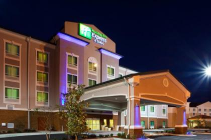 Holiday Inn Express & Suites - Valdosta an IHG Hotel - image 6