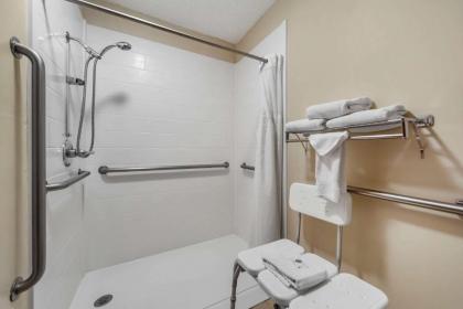 Comfort Inn Valentine - image 9