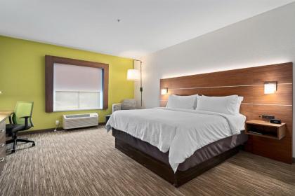 Holiday Inn Express & Suites Van Buren-Fort Smith Area an IHG Hotel - image 12