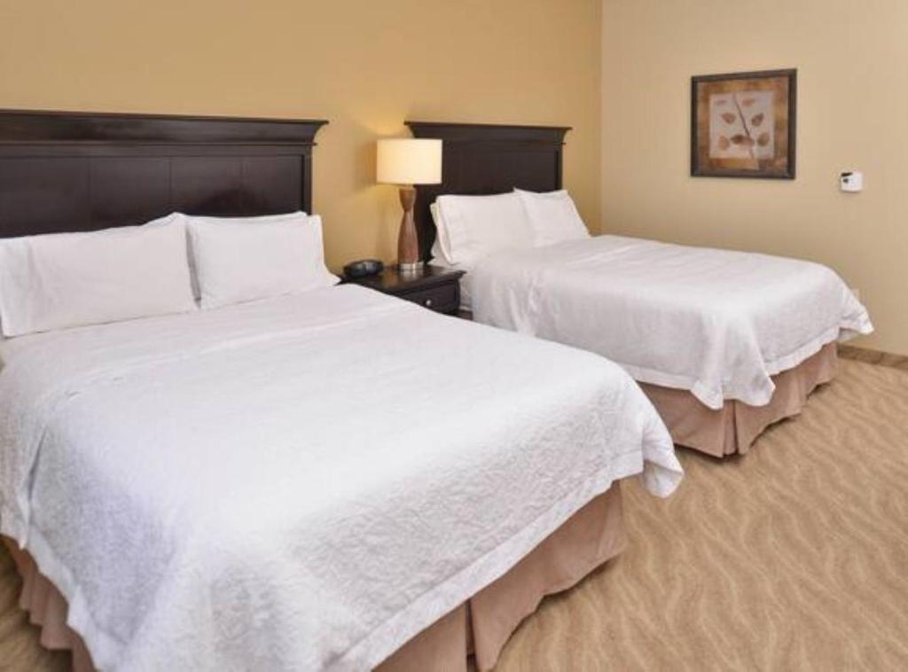 Hampton Inn Van Horn - image 7