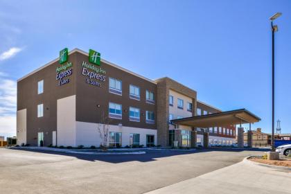 Holiday Inn Express  Suites   Van Horn an IHG Hotel Texas