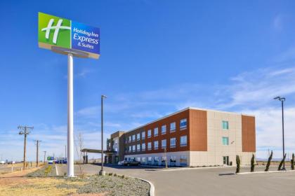 Holiday Inn Express & Suites - Van Horn an IHG Hotel - image 15