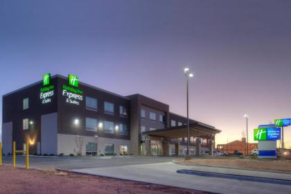 Holiday Inn Express & Suites - Van Horn an IHG Hotel - image 9