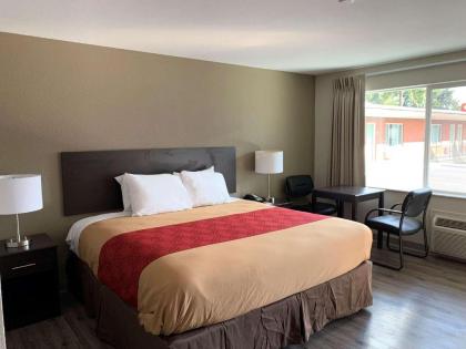 Econo Lodge Vancouver - image 14