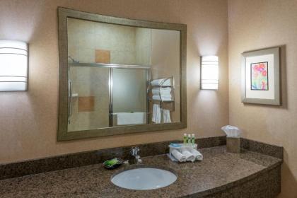 Holiday Inn Express Hotel Vernal an IHG Hotel - image 3