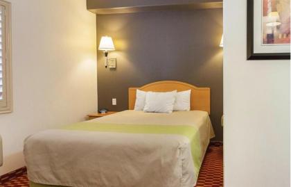 SureStay Plus Hotel by Best Western Vernal - image 10