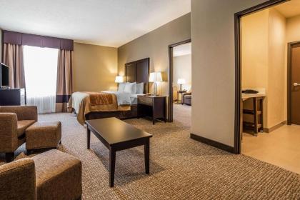 Comfort Inn & Suites Vernal - National Monument Area - image 12