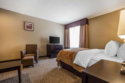 Comfort Inn & Suites Vernal - National Monument Area - image 14