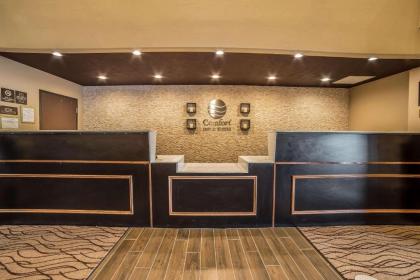 Comfort Inn & Suites Vernal - National Monument Area - image 7