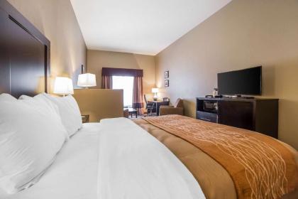 Comfort Inn & Suites Vernal - National Monument Area - image 9