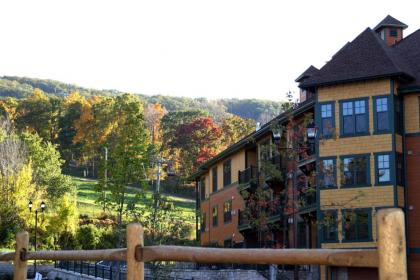 Mountain Creek Resort - image 4